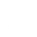 TLI Logo